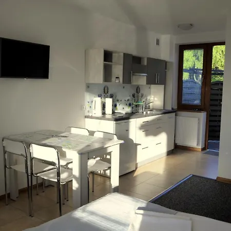 Проживание в семье Gosciniec Kaszubski Бялогура